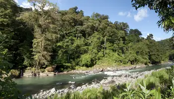 RÍO PACUARE