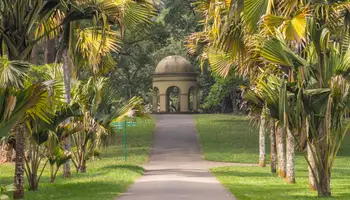 KANDY (PERADENIYA / PRESA VICTORIA)