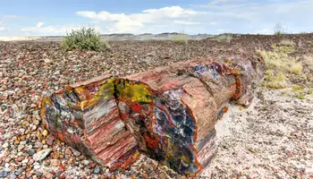 ALBUQUERQUE / GALLUP / HOLBROOK (373 KM)