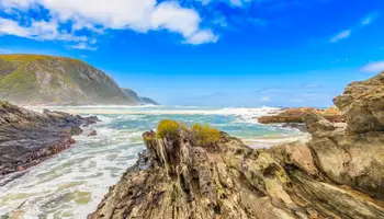 PORT ELIZABETH / KNYSNA (RUTA JARDÍN)