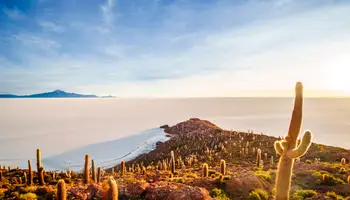 LA PAZ / UYUNI