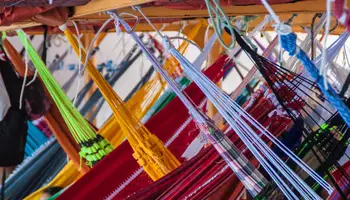 SELVA AMAZÓNICA / MANAOS