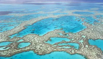 CAIRNS (GRAN BARRERA DE CORAL)