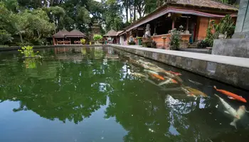 UBUD (TEGALALANG Y TIRTA EMPUL)
