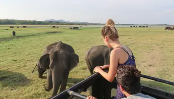 SIGIRIYA/POLONNARUWA/PARQUE NACIONAL MINNERIYA/SIGIRIYA