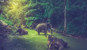 CHIANG MAI