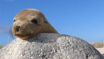 GALÁPAGOS (ISLA SANTA CRUZ)