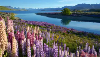 MT. HUTT/LAGO TEKAPO/KUROW (WAITAKI VALLEY) (235 KM - 5 HRS.)