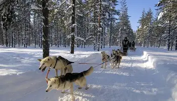 LA MAURICIE