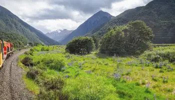 CHRISTCHURCH/GREYMOUTH/FRANZ JOSEF (TRANZ ALPINE +185 KM)