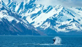 SEWARD / PARQUE NACIONAL DE KENAI FJORDS / SEWARD
