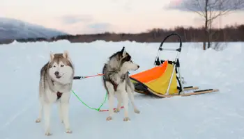 LA MAURICIE