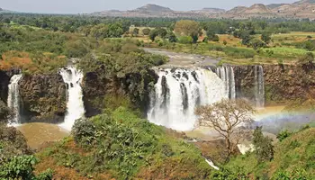 ADDIS ABEBA / BAHARDAR