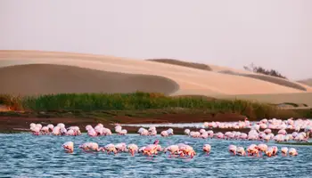 SWAKOPMUND / WALVIS BAY / DESIERTO DE NAMIB