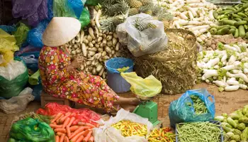 HO CHI MINH/CUCHI/HO CHI MINH/DANANG/HOIAN