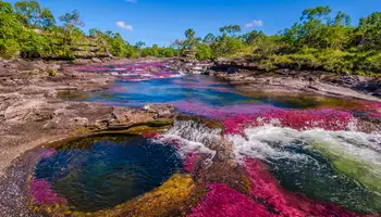 BOGOTÁ / LA MACARENA (CAÑOS CRISTALES)