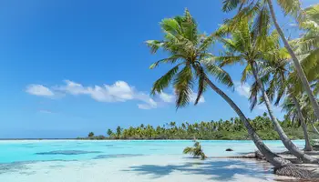 CRUCERO PAUL GAUGUIN (FAKARAVA)