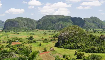 VIÑALES