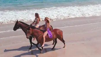 PN VOLCÁN ARENAL/PLAYAS DE GUANACASTE