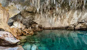 BOHOL (ISLA BALICASAG)