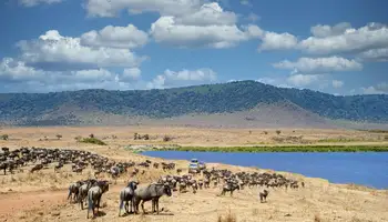 CRÁTER DEL NGORONGORO