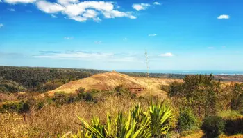 JOFREVILLE / P N DE LA MONTAÑA DE AMBRE / DIEGO SUAREZ