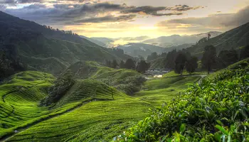 KUALA LUMPUR/CAMERON HIGHLANDS