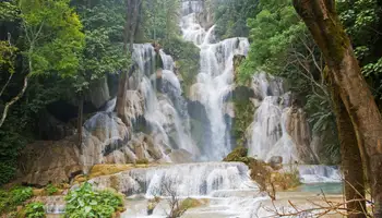 LUANG PRABANG (KUANG SI)