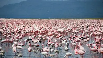 NAIROBI / P. N. LAGO NAKURU