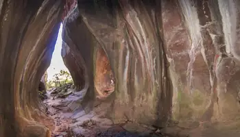 P N DE TORO TORO / COCHABAMBA