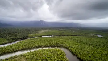 CRUCERO EN EL AMAZONAS (RÍO PACAYA/RÍO UCAYALI/RÍO TAPICHE)