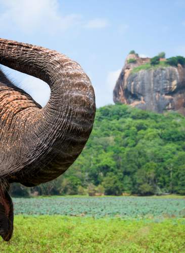jungla y playas de sri lanka