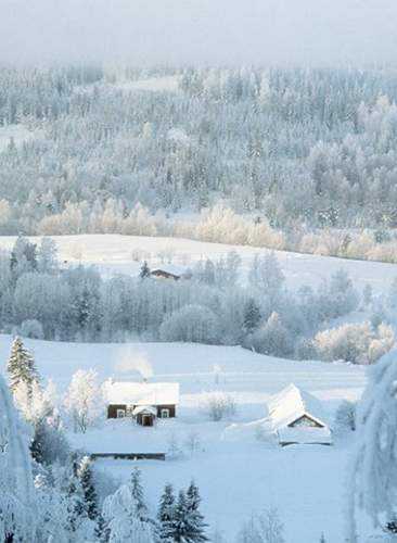 Pre-Navidad en Rovaniemi: hotel Santa Claus Holiday Village