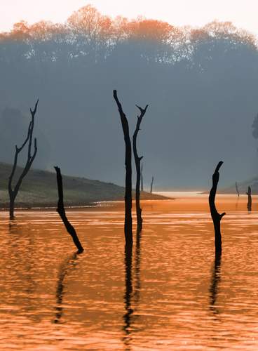 La Magia de Kerala