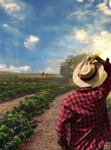 Café, Cultura e Historia de Colombia