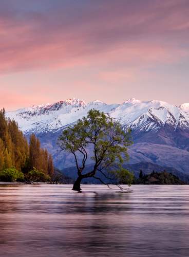 Paisagens Maoris