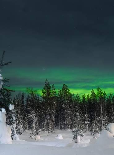 Especial Pre - Puente en Rovaniemi: Hotel Santa Claus Holiday Village