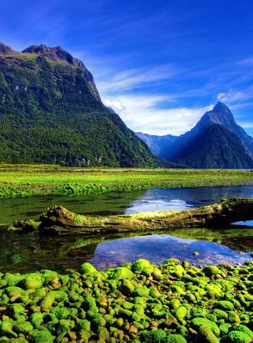 Nova Zelândia: Terra Maori