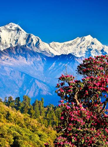 De Camino a Poon Hill