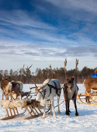 Especial Pre-Puente de Diciembre en Salla