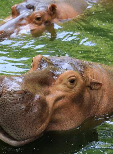Sudáfrica, Ruta Gran Treck