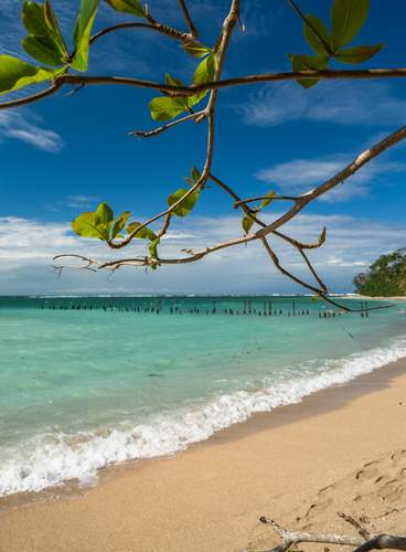 Naturaleza y Aventura en Costa Rica