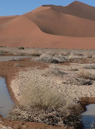 Gran Tour de Namibia y Sudáfrica