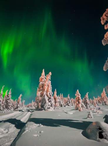 Especial Fin de Año en El Northern Lights Village Pyhä