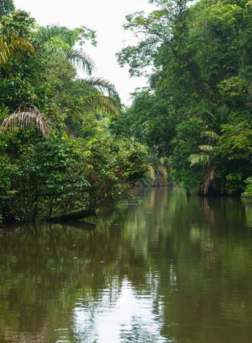 Naturaleza y Aventura en Costa Rica