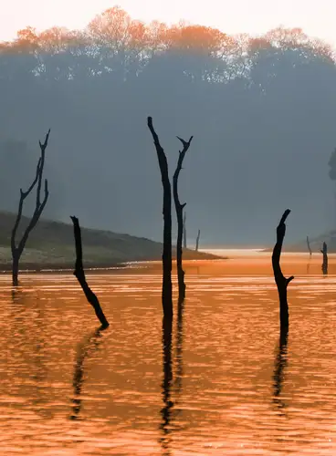 La Magia de Kerala