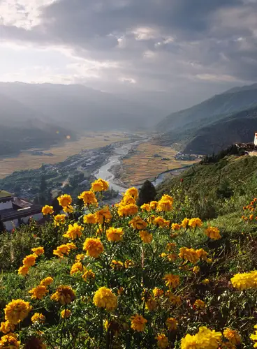 Senderos y Valles de Bután