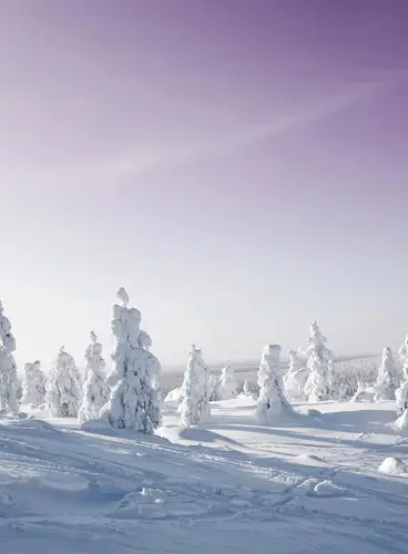 Especial Puente de Diciembre en Laponia: Ruka Village