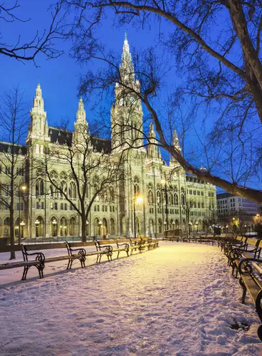 Fin de Año en Viena - Concierto de la Filarmónica