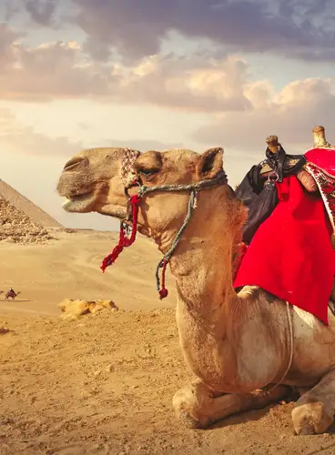 Esencias de Egipto en Privado